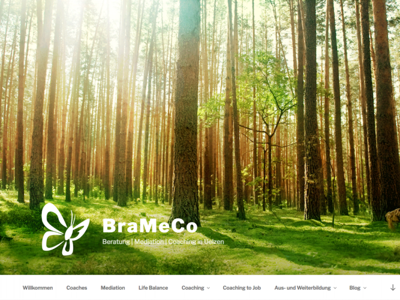 BraMeCo Webseite